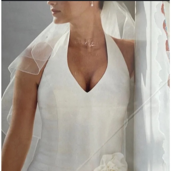 David’s Bridal St Tropez Wedding Gown - Picture 3 of 14